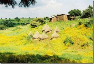 Ethiopian New Year in Ethiopia, Enkutatash - Ethiopian Calendar